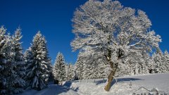 apartmany_gottesgab_04