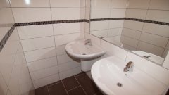 82_120_1381485479_613887_max